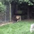 Parc zoologique de Cerza à He