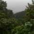 Les Chutes du Carbet