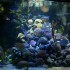 L'Aquarium du Gosier