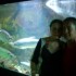 L'Aquarium du Gosier