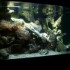 L'Aquarium du Gosier