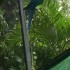 Le parc des Mamelles n°1