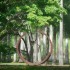 Rendez-vous aux jardins de l'H