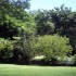 Le Domaine de la Pagerie