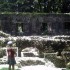 Le Domaine de la Pagerie