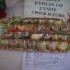 Les souvenirs de Guadeloupe