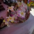 Les souvenirs de Guadeloupe