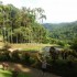 Le Jardin de Balata