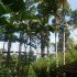 Le Jardin de Balata