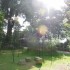 Le Jardin des plantes (à Nant