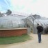 Le Jardin des plantes (à Nant