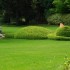 Le Jardin des plantes: l'avis 