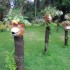 Le Jardin des plantes: l'avis 