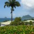 Les souvenirs de Martinique