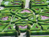 Jardin du Château de Villandr