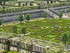 Château de Villandry (2 ème 