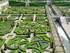 Château de Villandry (2 ème 