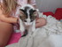 Les chats de Louise