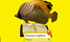 Les poissons en RA n°1
