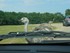 Le Nandou (Rhea americana)