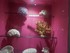 Collection coquillages