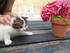 Y et le pot de fleurs