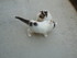Autres photos des chats de lou