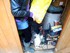 Les chats en vidéo n°2