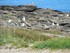 Une balade à vélo à l'Ile d
