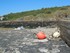 Une balade à vélo à l'Ile d