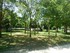 Ballade dans le Parc 