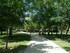 Ballade dans le Parc 