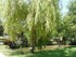 Ballade dans le Parc 