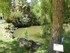 Ballade dans le Parc 