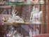 Collections porcelaines au Ch