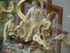 Collections porcelaines au Ch