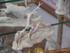 Collections porcelaines au Ch