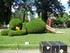 Le Jardin des plantes à Nante