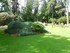 Le Jardin des plantes à Nante