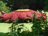 Le Jardin des plantes à Nante