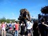 Le grand éléphant des Machin