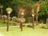Le Jardin des plantes à Nante