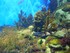 Aquarium La Rochelle n°1