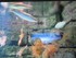 Aquarium La Rochelle n°1
