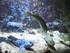 Aquarium La Rochelle n°1