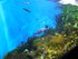 Aquarium La Rochelle n°2
