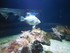 Aquarium La Rochelle n°2