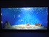 Aquarium La Rochelle n°2