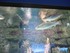 Aquarium La Rochelle n°3