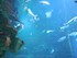 Aquarium La Rochelle n°3